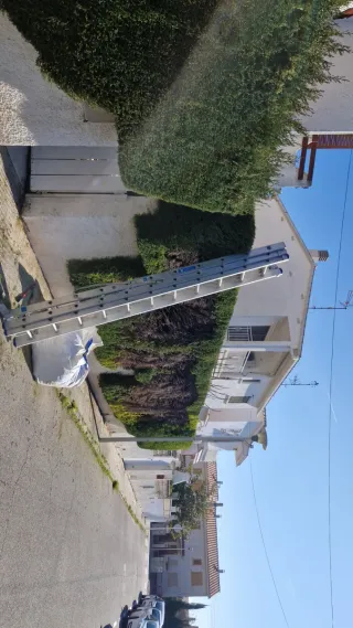 Servicios de jardineria y pintura