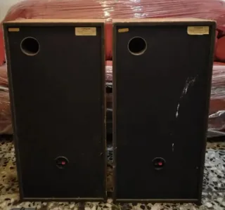 Altavoces Vintage Pioneer CS 995