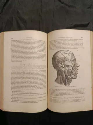 Libro Antico Medicina 1880 Anatomia