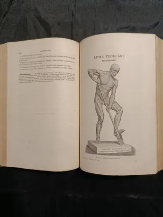 Libro Antico Medicina 1880 Anatomia
