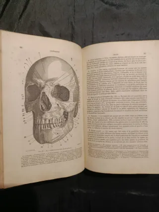 Libro Antico Medicina 1880 Anatomia
