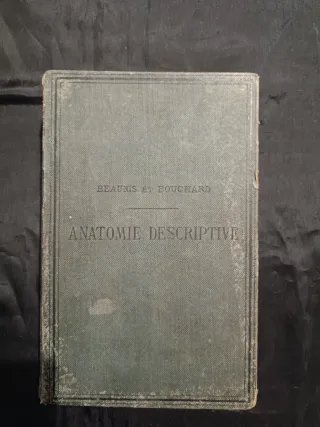 Libro Antico Medicina 1880 Anatomia