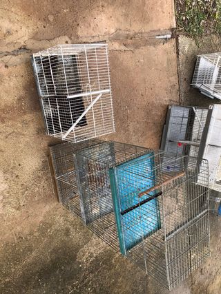 Jaulas de cría para pájaros 40 y 60cm