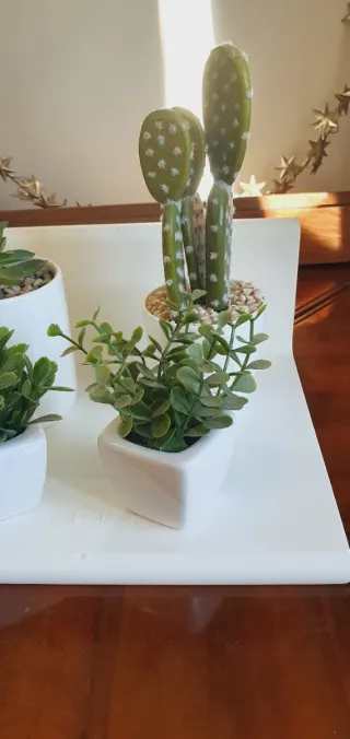 Lotto piantine artificiali