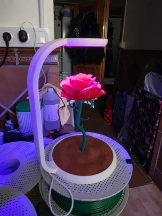 Lámpara Rosa Decorativa