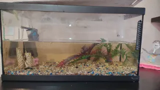 Acuario grande cristal y plástico