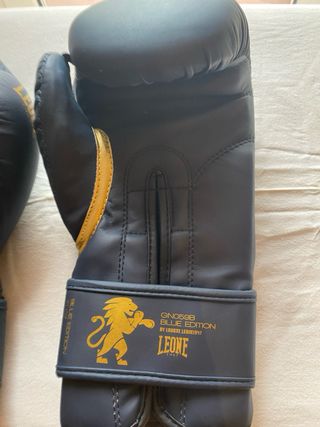 Guanti Leone 1947 Boxe Blu Unisex