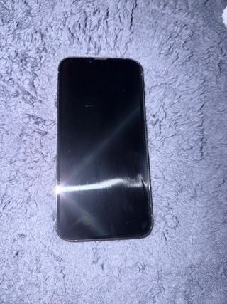 iPhone 13 Pro Max dorado + su cargador