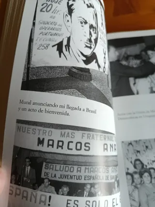 Decidme cómo es un árbol