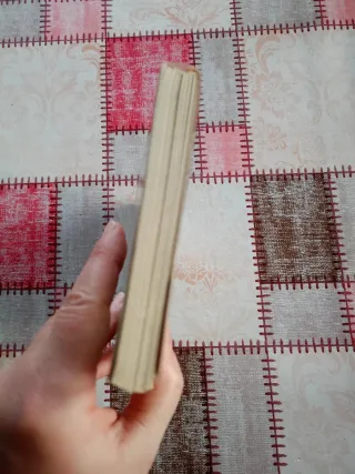 Firenze guida completa per la visita della città