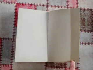 Firenze guida completa per la visita della città