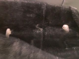 Abrigo IEL de foca negro