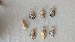 Joyeros de ostras con flores y bordes dorados