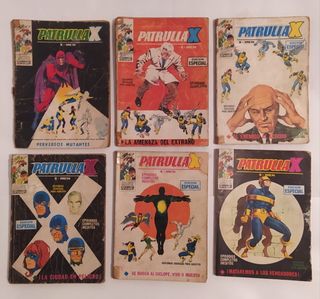 Lote 6 Patrulla X vértice taco