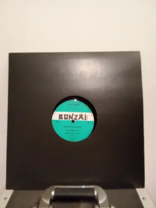 Lote Vinilos Remember Bonzai Records