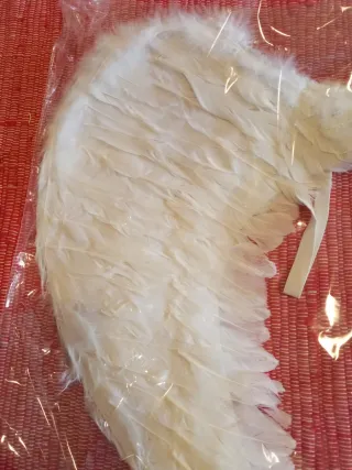 ALAS CON PLUMAS BLANCAS