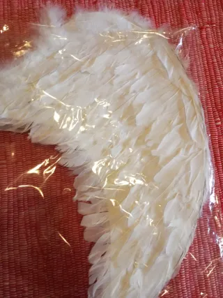 ALAS CON PLUMAS BLANCAS