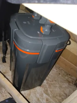 Pecera completa con bichos flotantes.