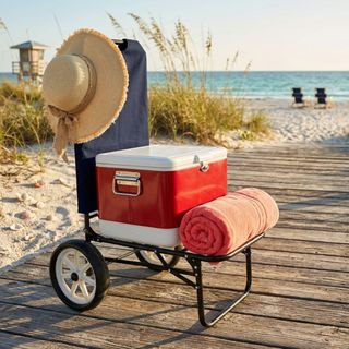 Carrello da spiaggia Campeggio Pieghevole Acciaio
