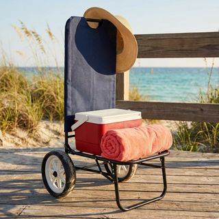 Carrello da spiaggia Campeggio Pieghevole Acciaio