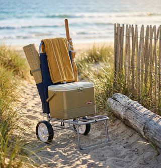Carrello da Spiaggia Pieghevole in Acciaio 2 Ruote