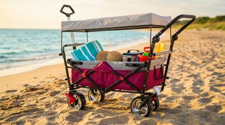 Carrello da Spiaggia con Tettuccio 4 Ruote 135cm
