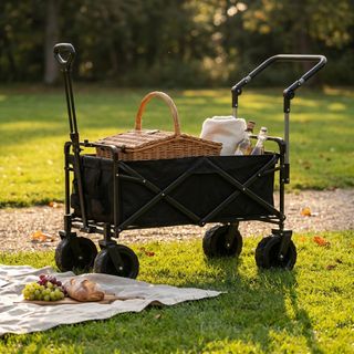 Carrello Portaoggetti Spiaggia Campeggio 4 Ruote