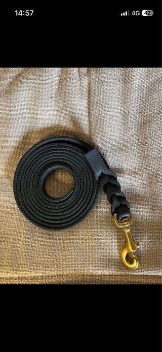 Guinzaglio in pelle nera 2,5m ottone