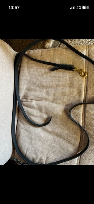 Guinzaglio in pelle nera 2,5m ottone