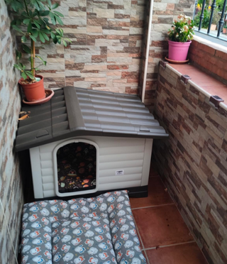 Caseta Perros Exterior Beige y Gris