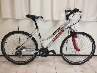 Bici GlobeTrotter ALL726S ALTURAS 1.65-1.75cm.