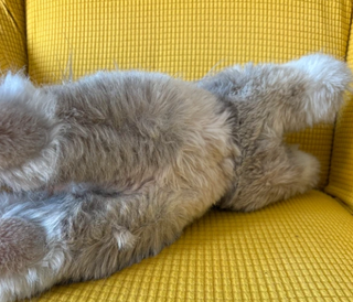 Peluche Steiff Vintage Germania Anni '60