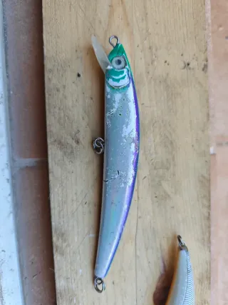 Señuelos de Pesca Recuperados