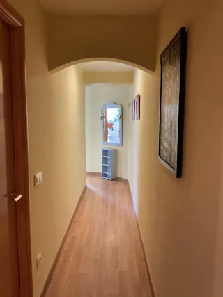 Pintor profesional en Gandía