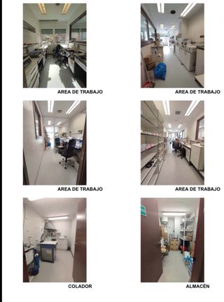 OPORTUNIDAD EN LASARTE-ORIA! Amplio local de 160 m