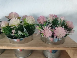 Maceta decorativa 3 plantas.