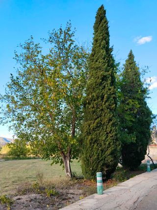 Terreno Urbanizable pegado al casco urbano.