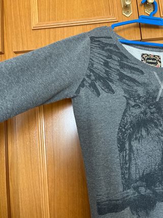 Suéter Colcci Gris con Estampado de Búhos
