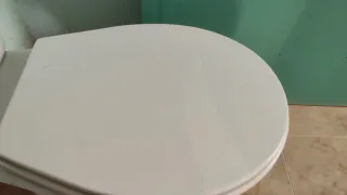 Inodoro, váter de porcelana blanco