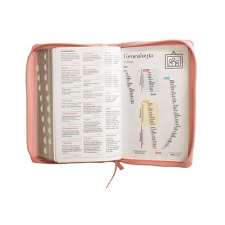 Biblia Rosa RVR 1960 Letra Grande - Cierre