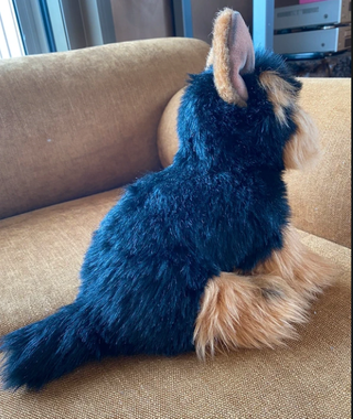 Peluche Steiff Cane Yorkshire Terrier Originale