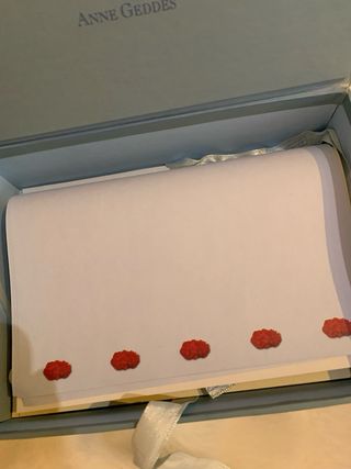 Caja de correspondencia Anne Geddes