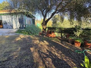 Chalet en venta en Barrios (Los)