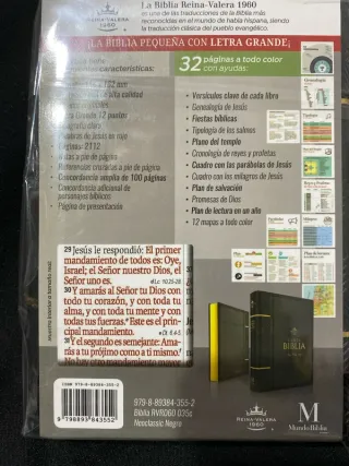 Biblia RV1960 - Letra Grande - Negro