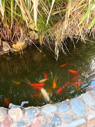 Estudio en venta en Sauzal (El)