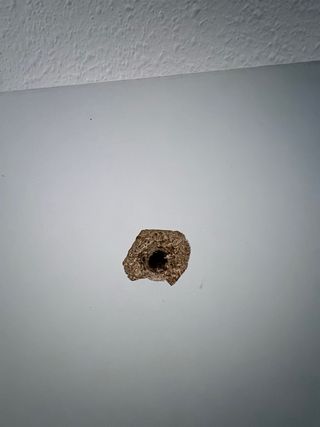 Canapé Cecotec Madera Blanco 135x190