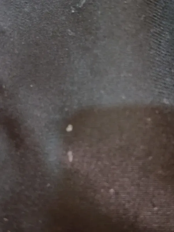 Chándal Adidas Vintage Unisex Y2K R68