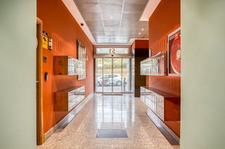 Oficina en alquiler en Ibaeta en San Sebastián-Donostia