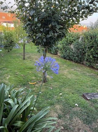 Casa adosada en venta en Castiñeiriño - Cruceiro de Sar en Santiago de Compostela