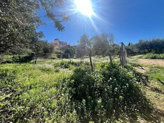 Chalet en venta en Alcalde Felipe Mallol en San Vicente del Raspeig/Sant Vicent del Raspeig